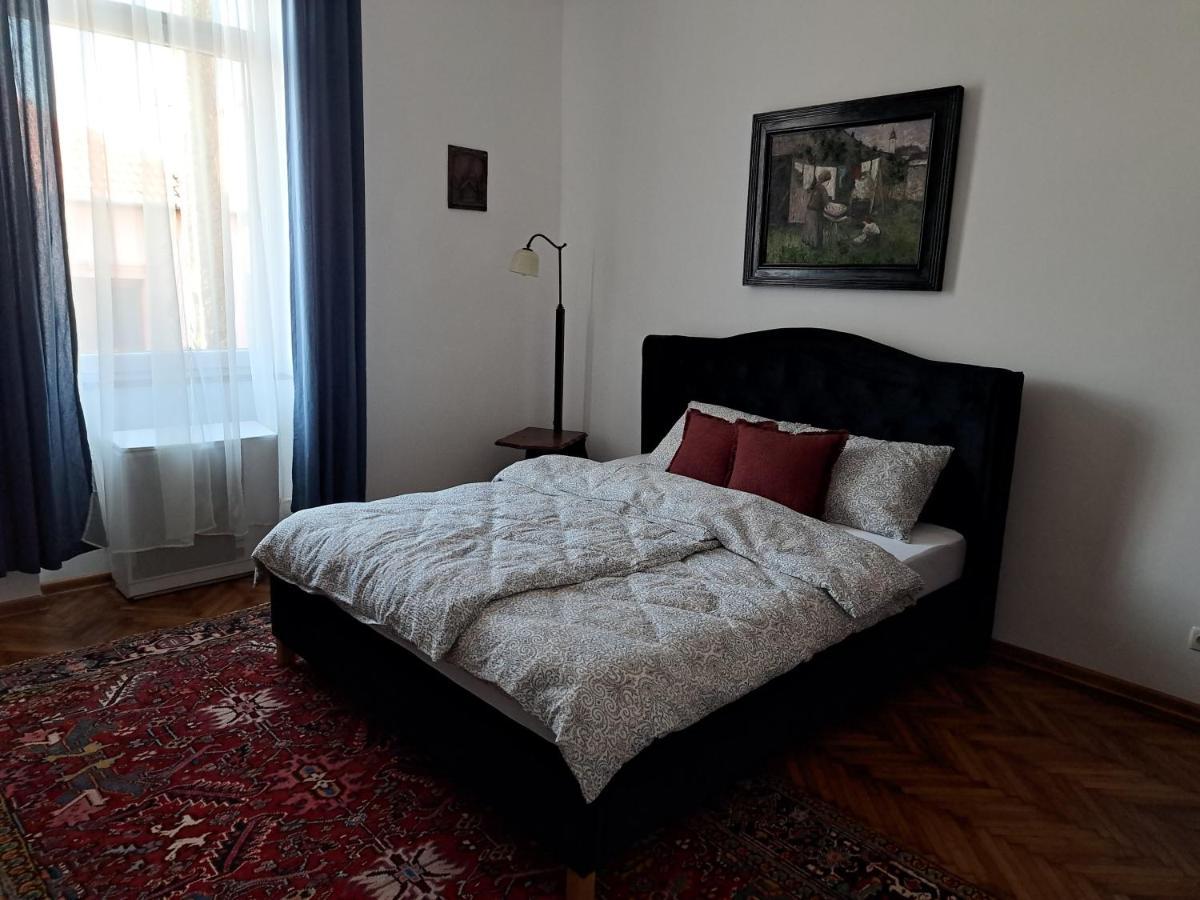 Weisz Apartment-City Center-Free Private Parking,Wifi,Ac คารีย์ ภายนอก รูปภาพ
