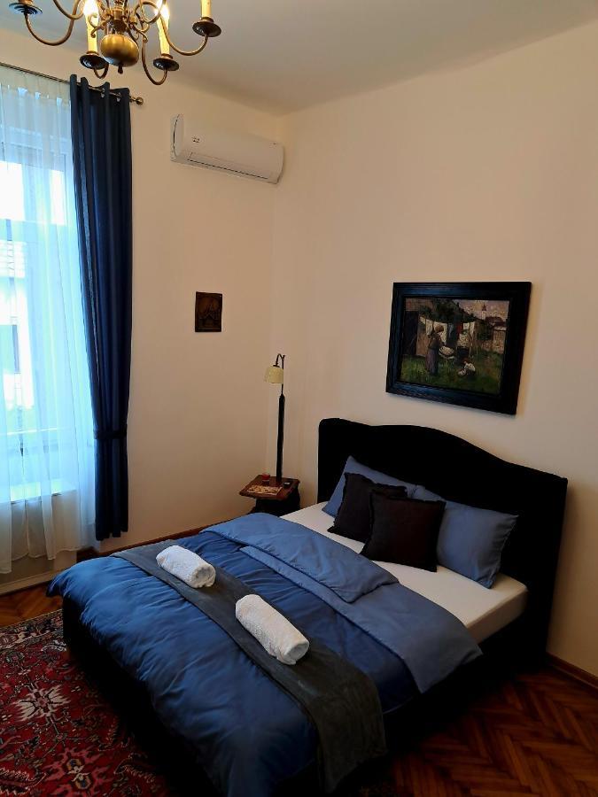 Weisz Apartment-City Center-Free Private Parking,Wifi,Ac คารีย์ ภายนอก รูปภาพ